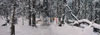 Tu Hongtao_painting 4